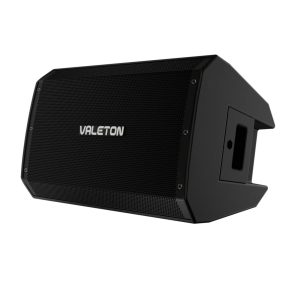 VALETON VFR-110 VFR110 VFR 110 1300 WATT 1x10" FRFR SPEAKER CABINET